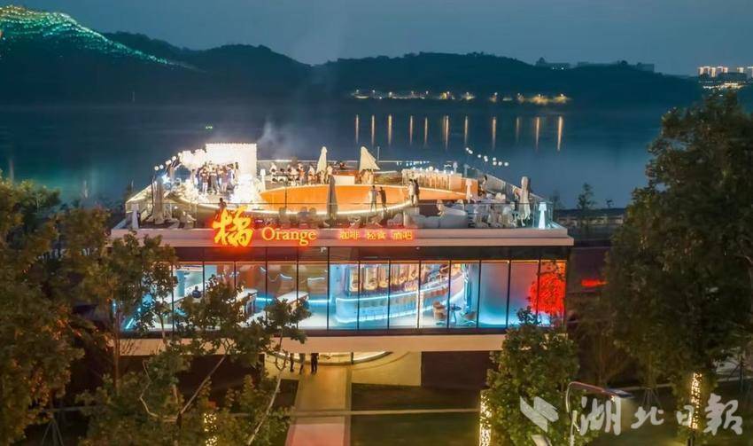 创建一个新时代的鱼类和大米-Jingchu Premium |橙色