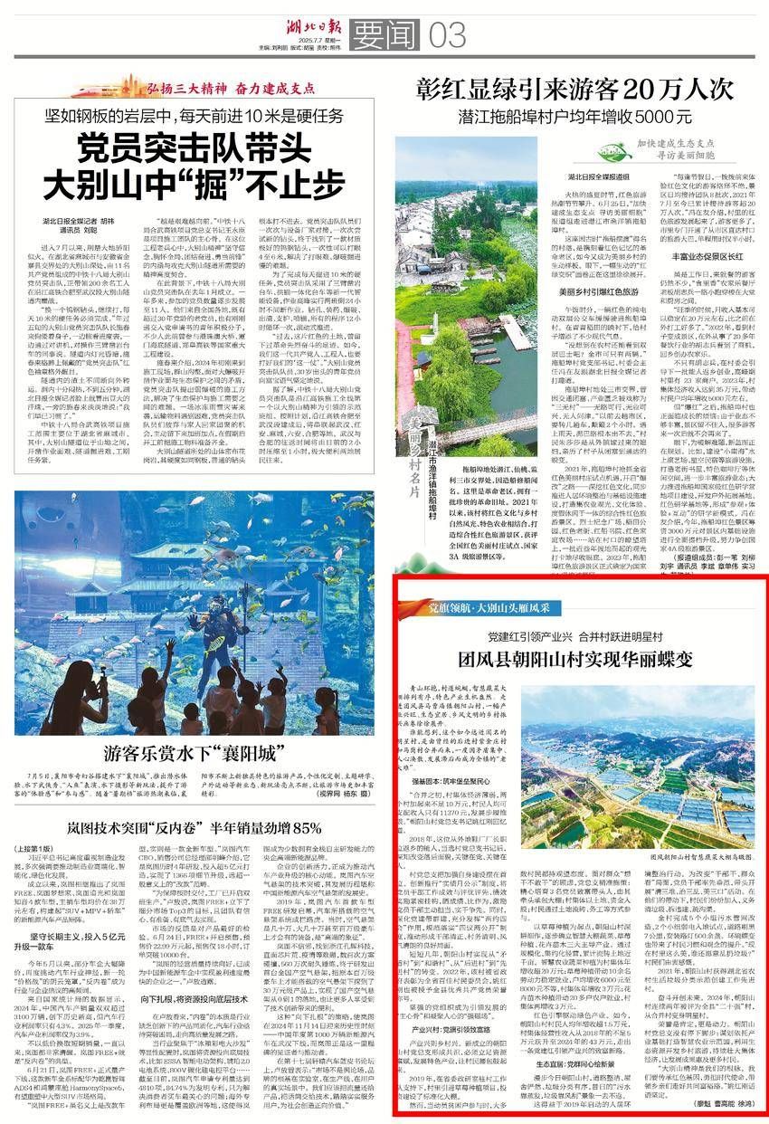 [派对国旗的负责人：迪比山的鹅风格]长期困难，