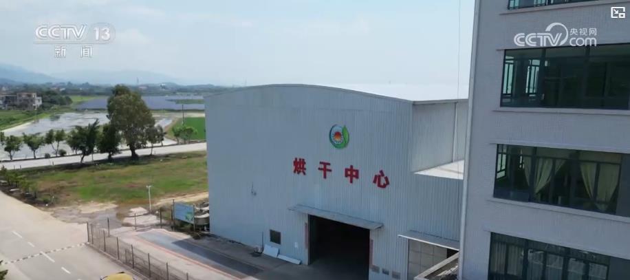 早期水稻收获的“加速度”：绩效改进动作显示