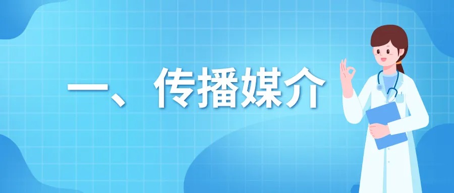 快速看！从蚊子 - 蚊子| |预防基孔肯尼亚和登革