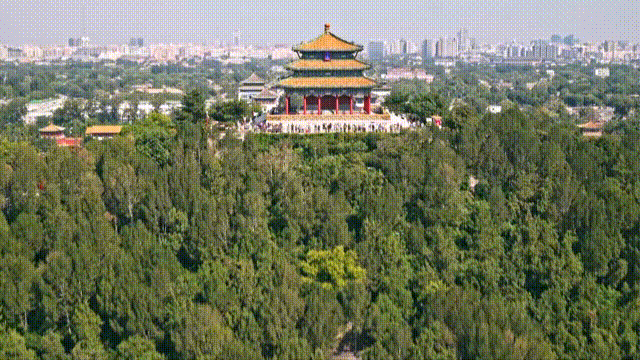 成功申请世界遗产的一周年纪念日！中国城市最