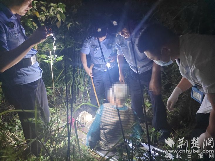 90岁 - 年龄在深夜失去了草，警察整夜都记录下来