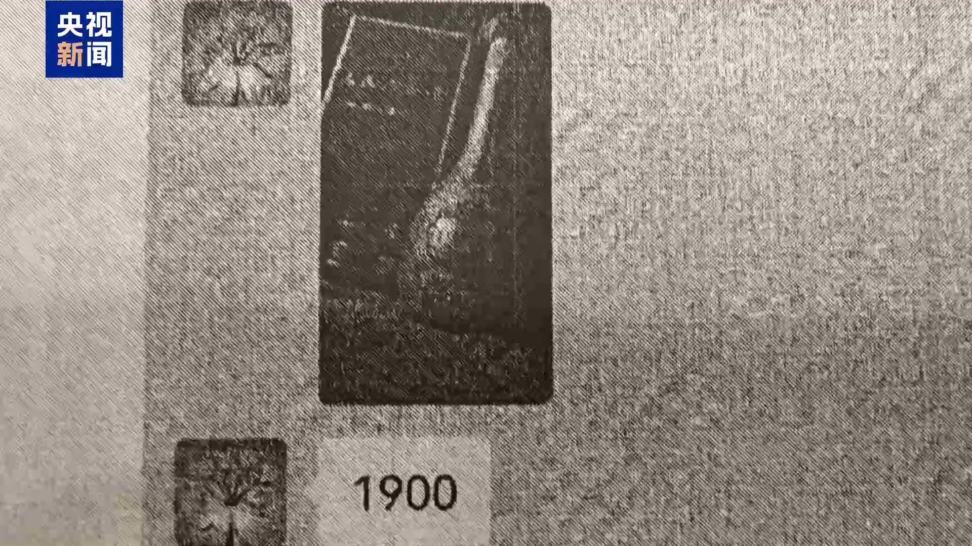法律规则“特殊葡萄酒”骗局被打破