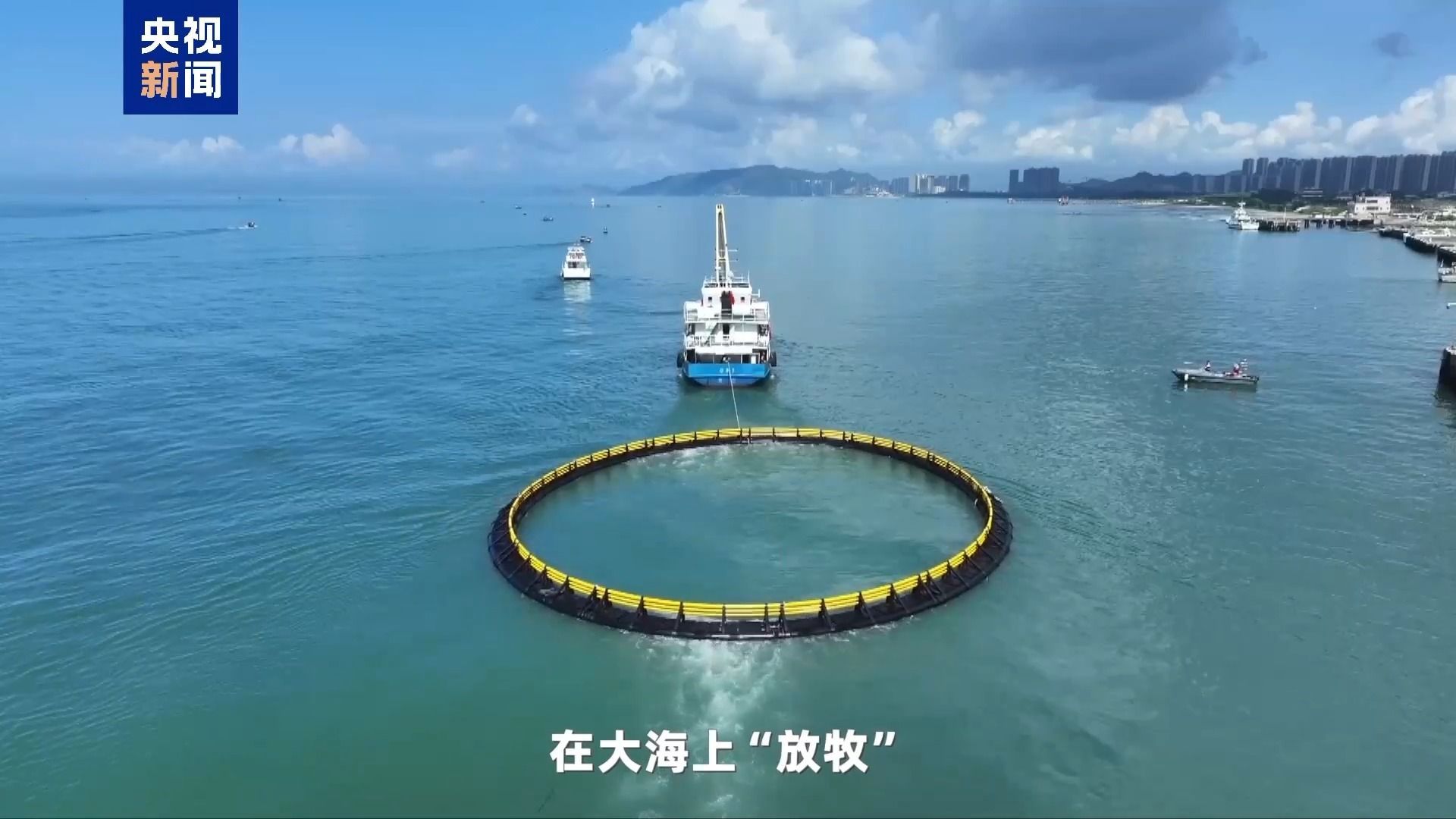 湾区速评丨大湾区开展海洋经济 这件“小事”为何这么要害？