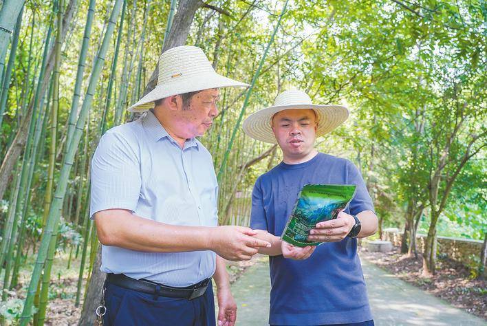 donghu的快速话|连接数千英里：Yucún，Zejiang和Ya