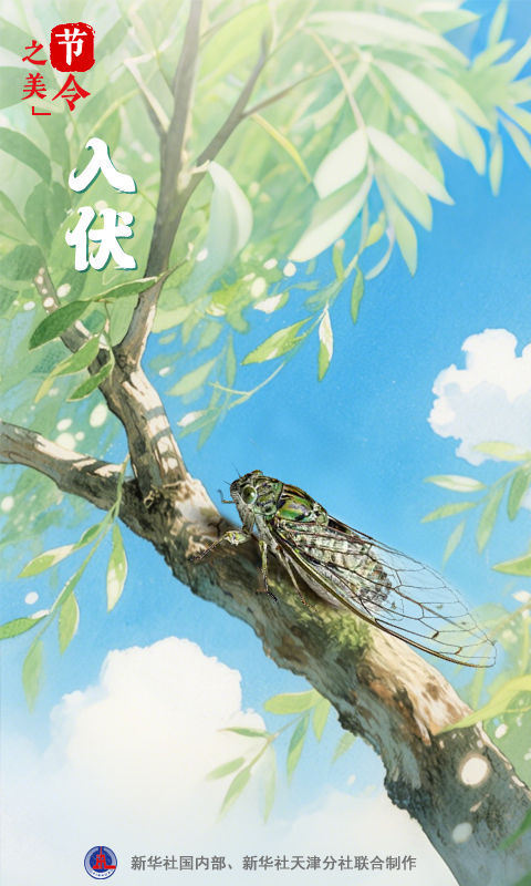 接连10年都是40天的纪录被完结！本年“三伏”30天！