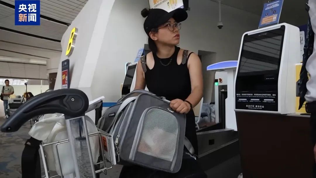 九游app：带着宠物去旅游！出行攻略来了→(图2)