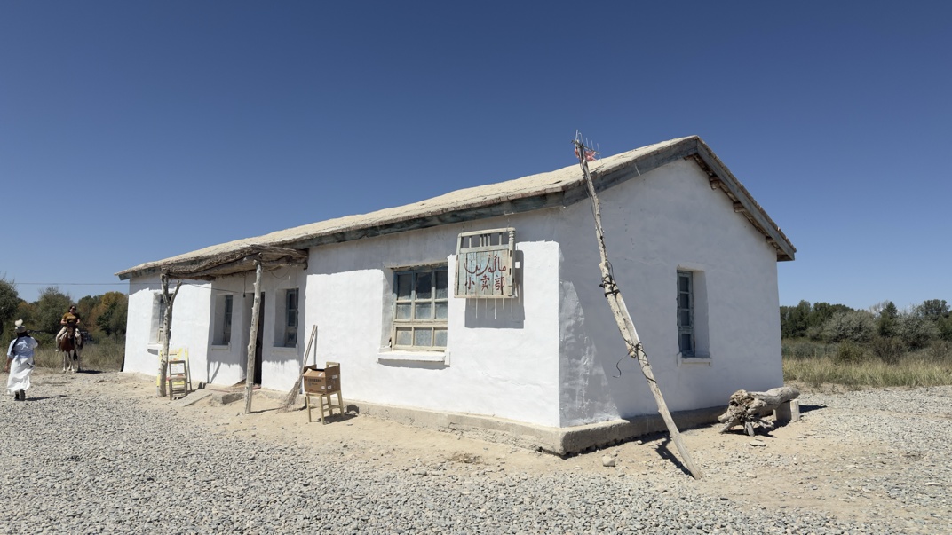 格拉纳达花蓬勃发展，种子聚在一起|从“流行”