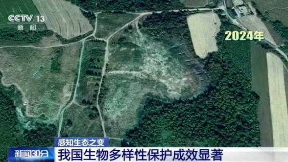 感知生态变化|见证对中国生物多样性保护的反应