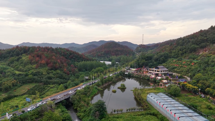 小港：Qixi Lawn音乐节与乡村文化和旅游业