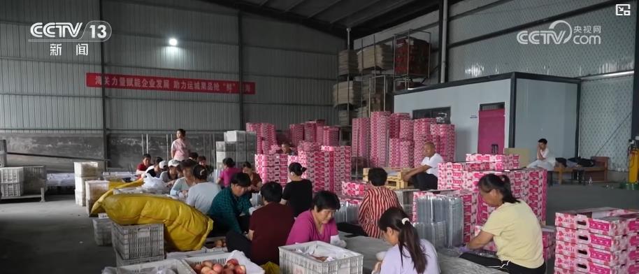 进出口总量超过3万亿元！黄河盆地为内陆开放了