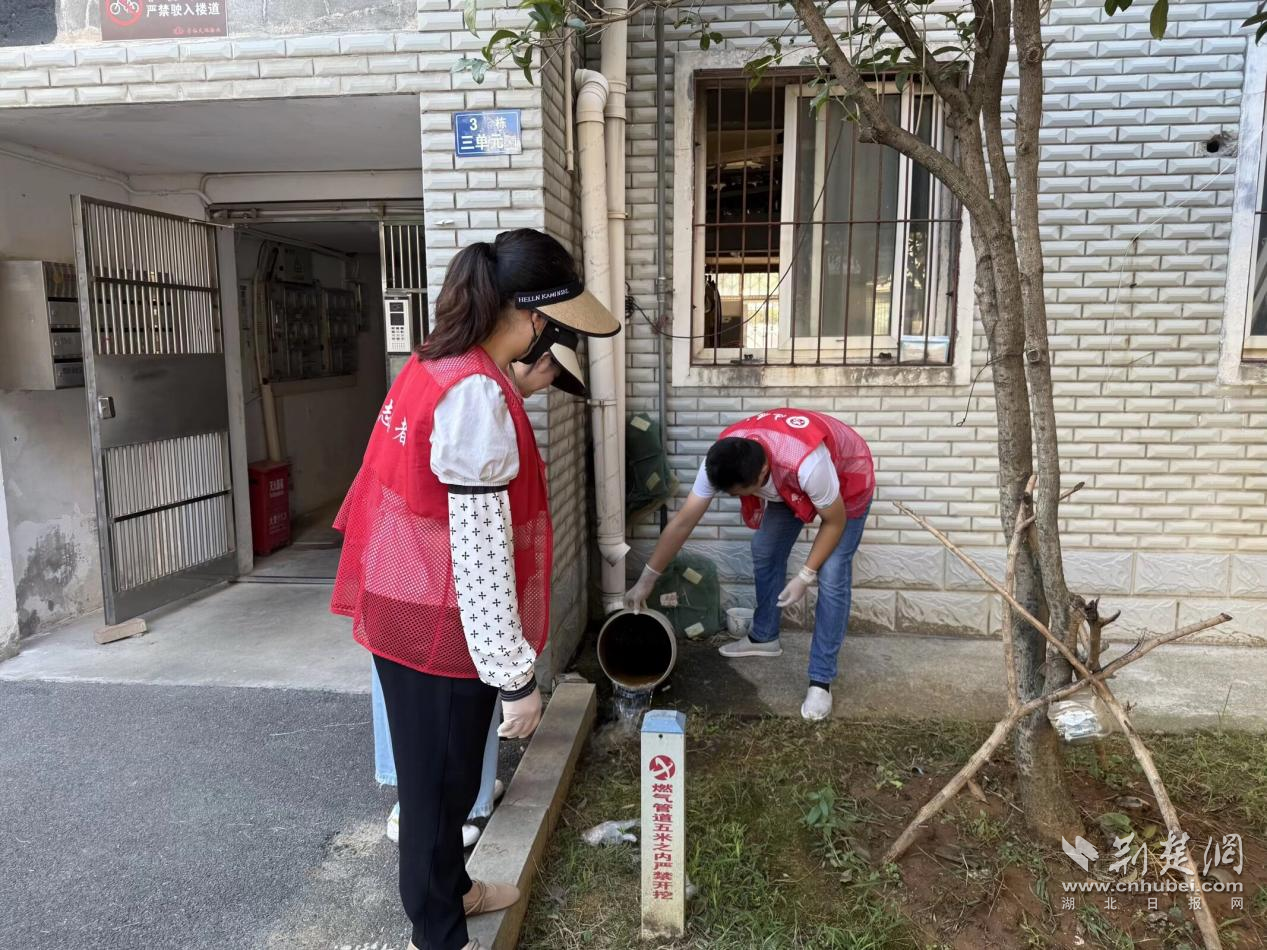 图片14.png.png