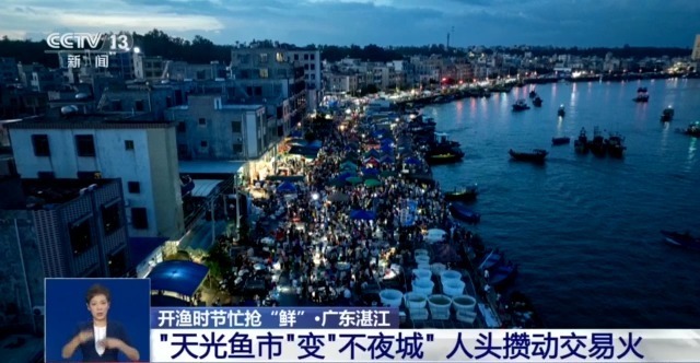 在捕鱼季节，第一批海洋鱼，虾和螃蟹放在地上