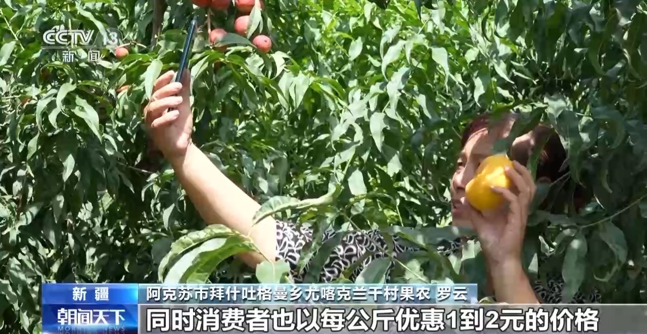 中等规模的经济观察
