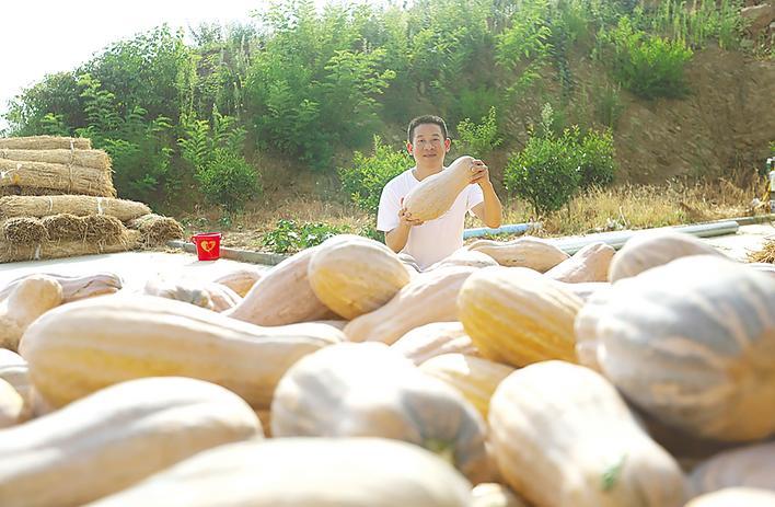 Zhushan Yishui Town：“ Golden Gourd”隐藏在油茶森林下