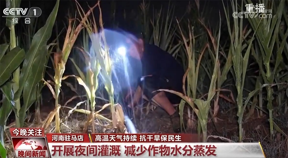 几个地区已经采取了几项措施来打击干旱并保护
