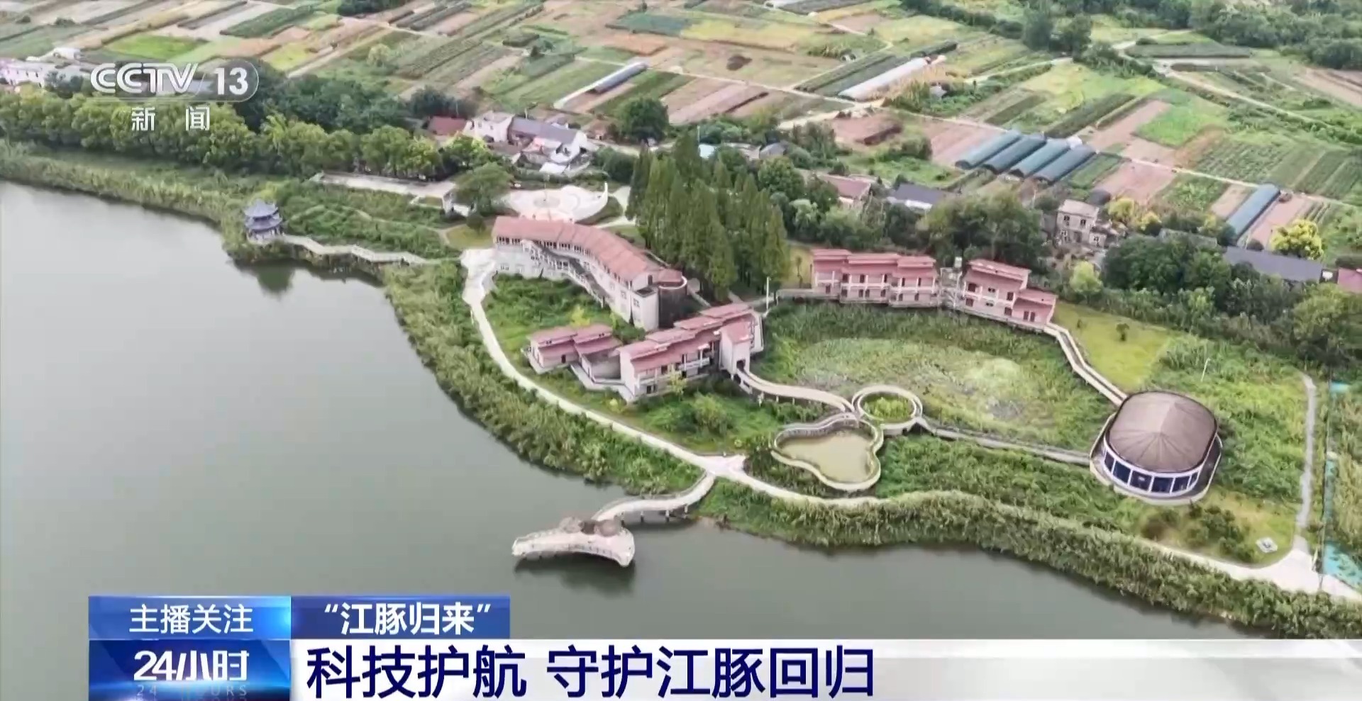 从难觅踪影到频频现身“微笑天使”江豚见证母亲河生态复苏(图10)