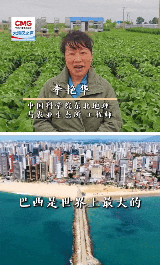 它位于海湾大都市地区的最前沿。