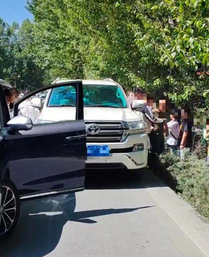 尖锐的评论丨丰田驾驶员因朝着相反的方向而受
