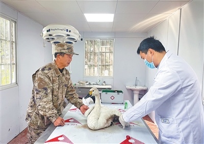 “这是一场没有完成的长距离比赛”（监视）