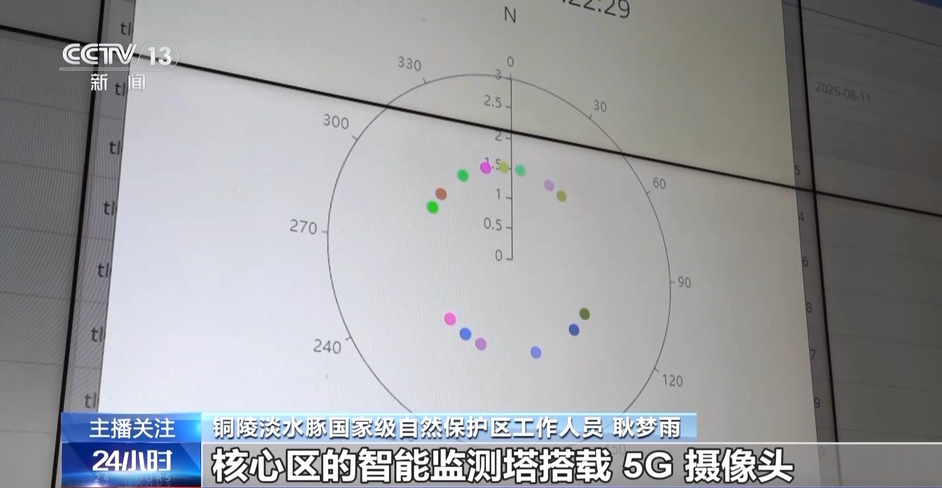 从难觅踪影到频频现身“微笑天使”江豚见证母亲河生态复苏(图8)
