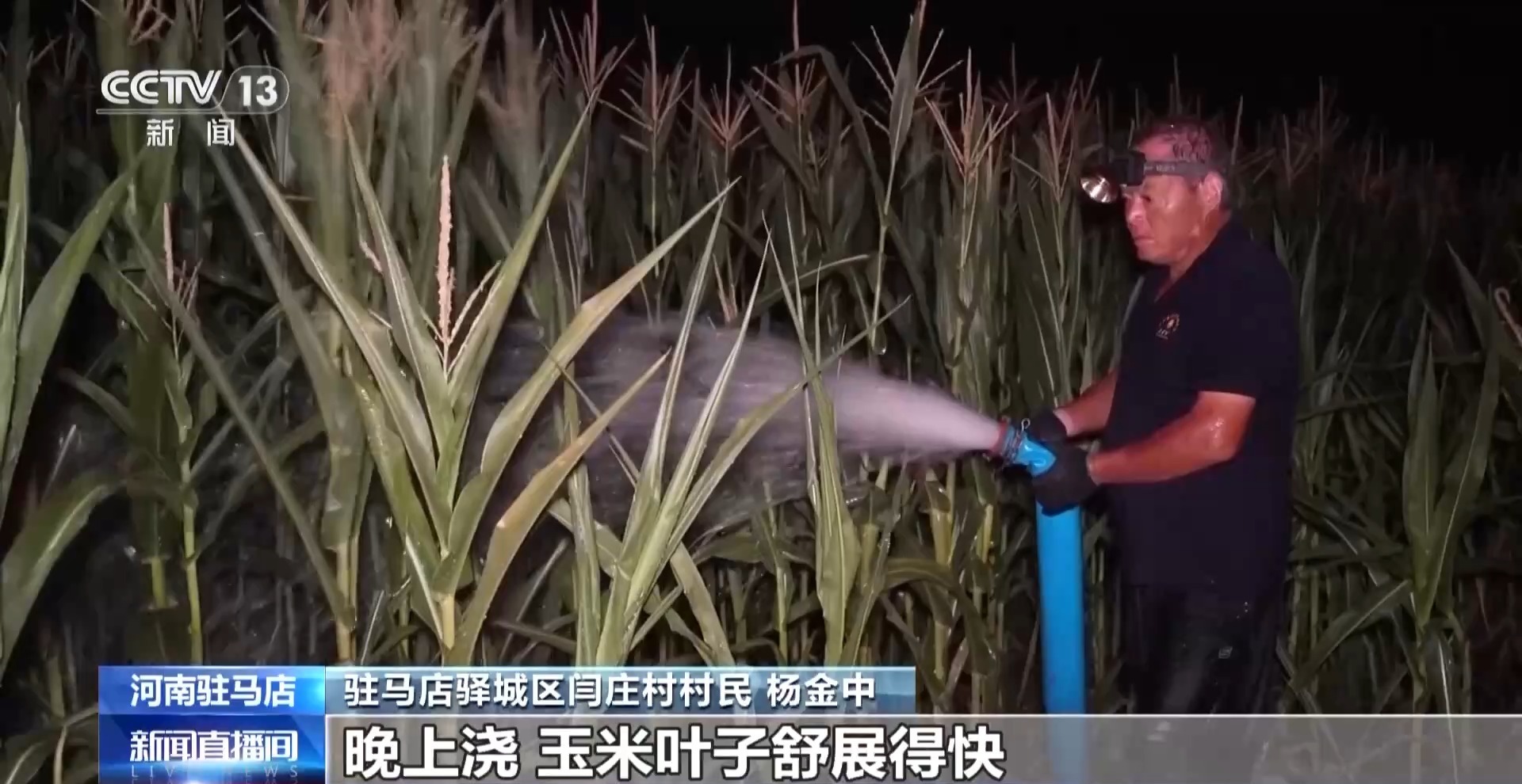 河南省祖玛迪亚人提供夜间灌溉，自愿服务团队
