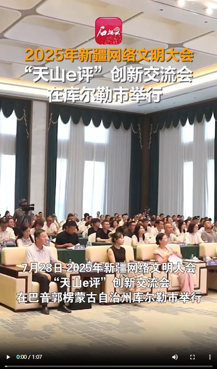 2025年新疆网络文明会议“天汉电子评估”创新交