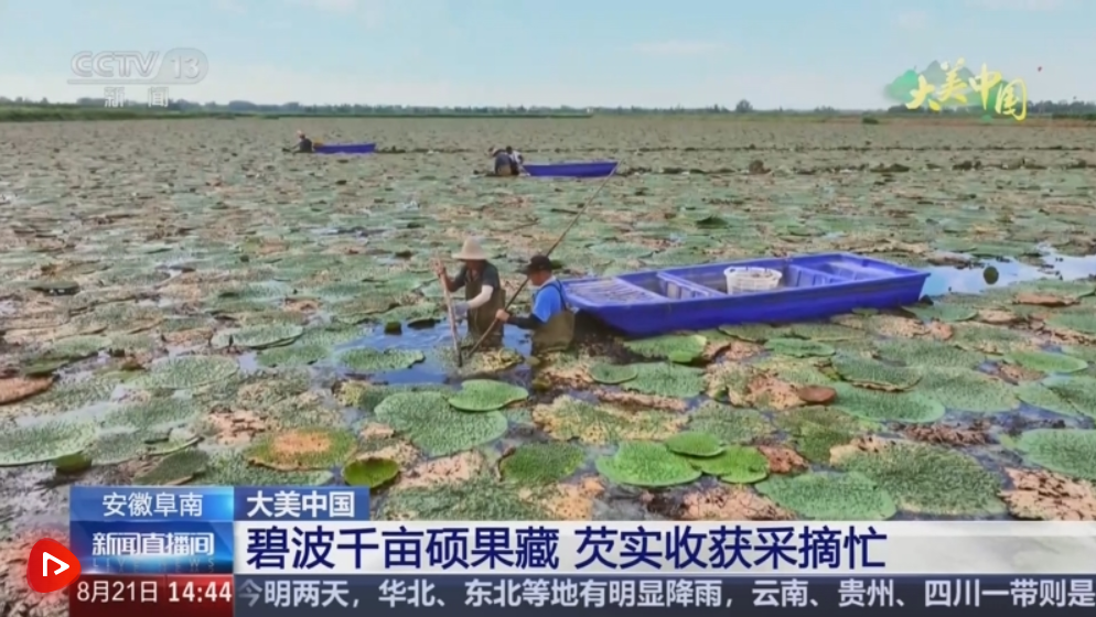 “水库”中的“洪水”并根据当地条件发展特征