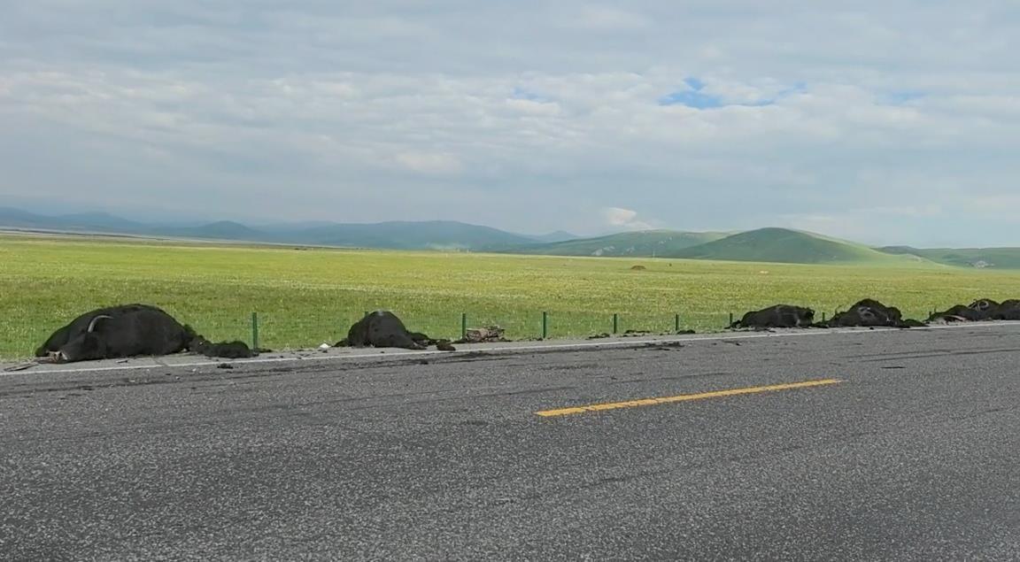 Gance的32个Yak在清晨越过了早期的道路，并被卡车