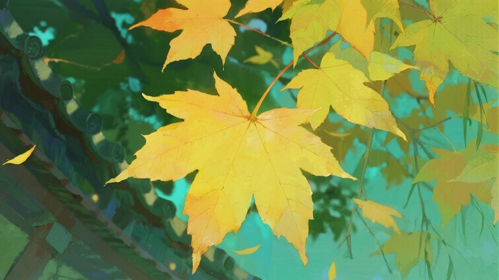 秋天和水分的开始并没有消失。传统中药建议“