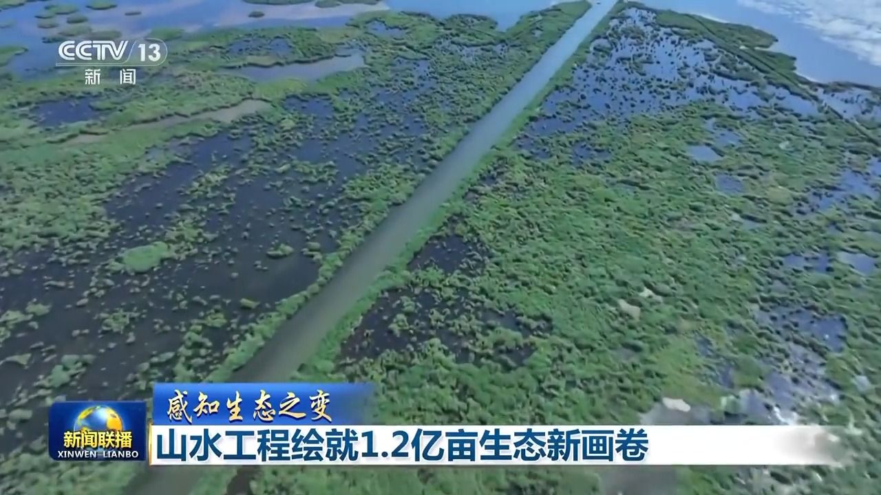 生态变化丨景观工程绘制了1.2亿MU的新生态图片