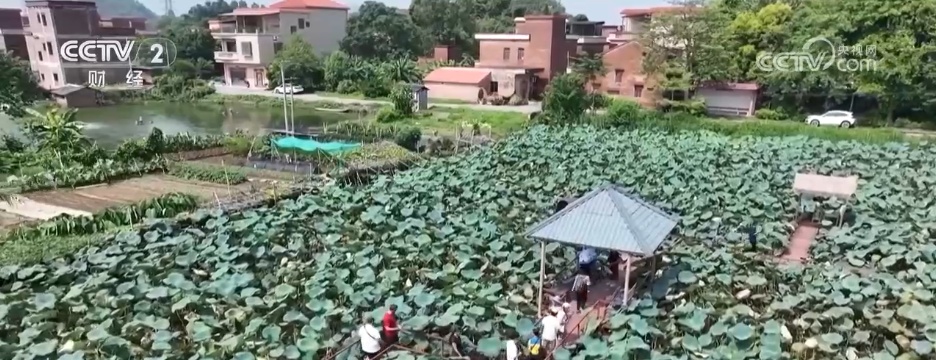 外国游客开放了“利基游览”和“定制之旅”的