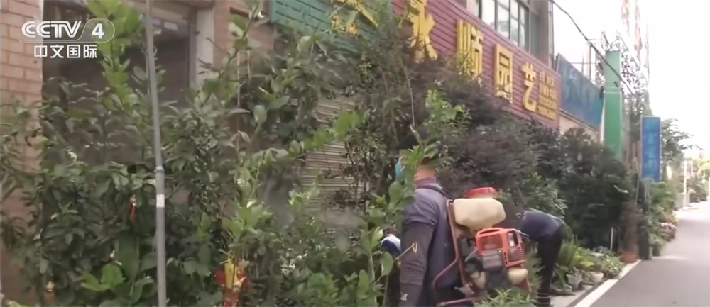 如何将医学用于chikungunya？如何治疗？如何保护？