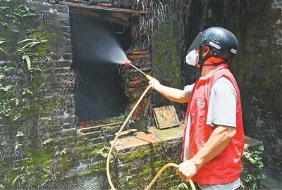 Chikungunya热，如何预防和治疗？