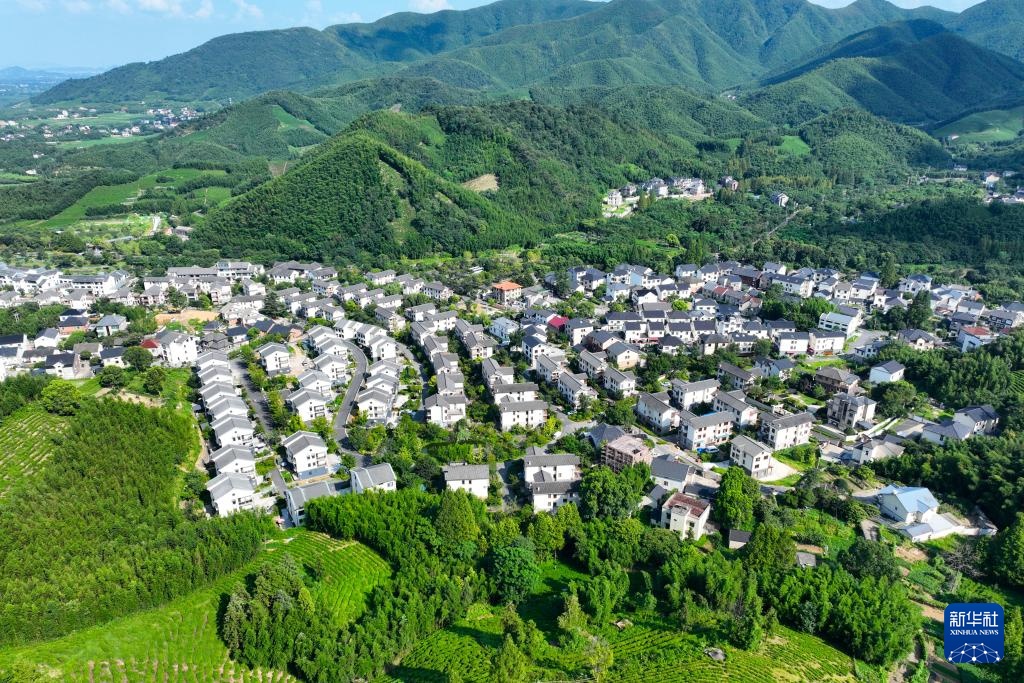充满活力的中国研究之旅