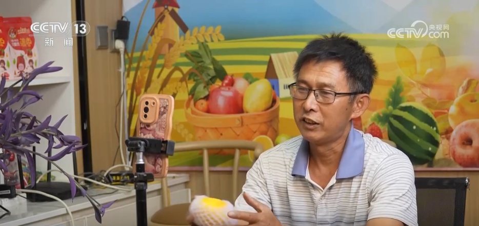 年中经济观察