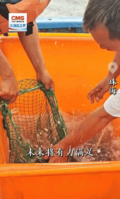 站在大湾地区丨无人机跨城市快车将在湾区开设