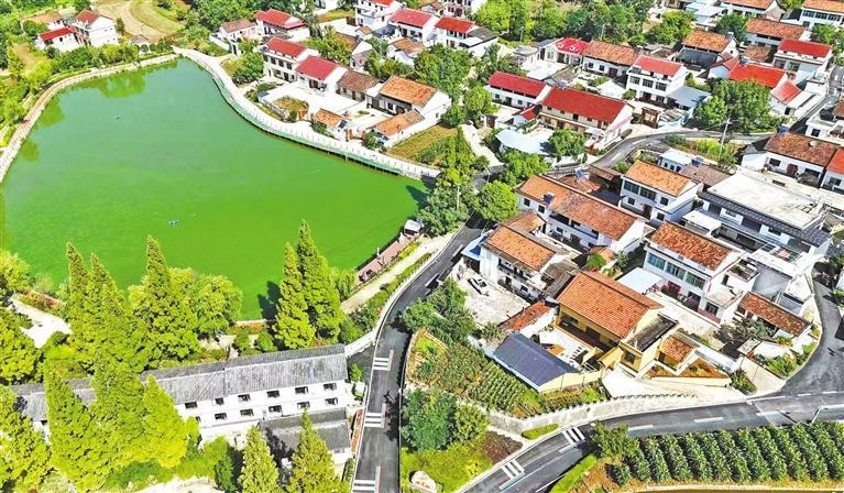 亨森市的亨森市已经建立了五个示威区，“两个