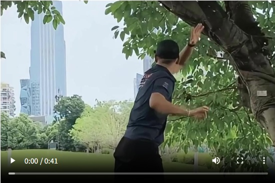 观看10,000+的比赛，并在世界奥运会体育馆体验“