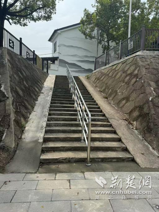 图片4.png.png