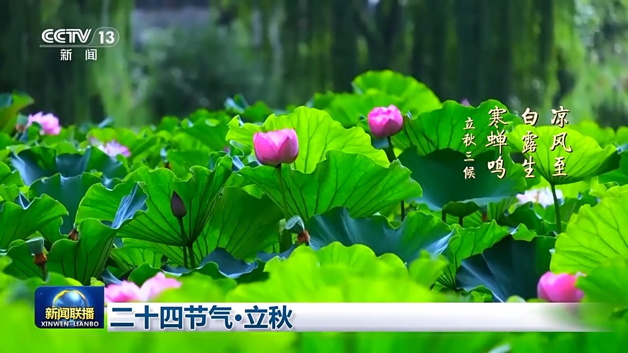 文化之旅中国24太阳太阳秋天开始夏天的炎热还没