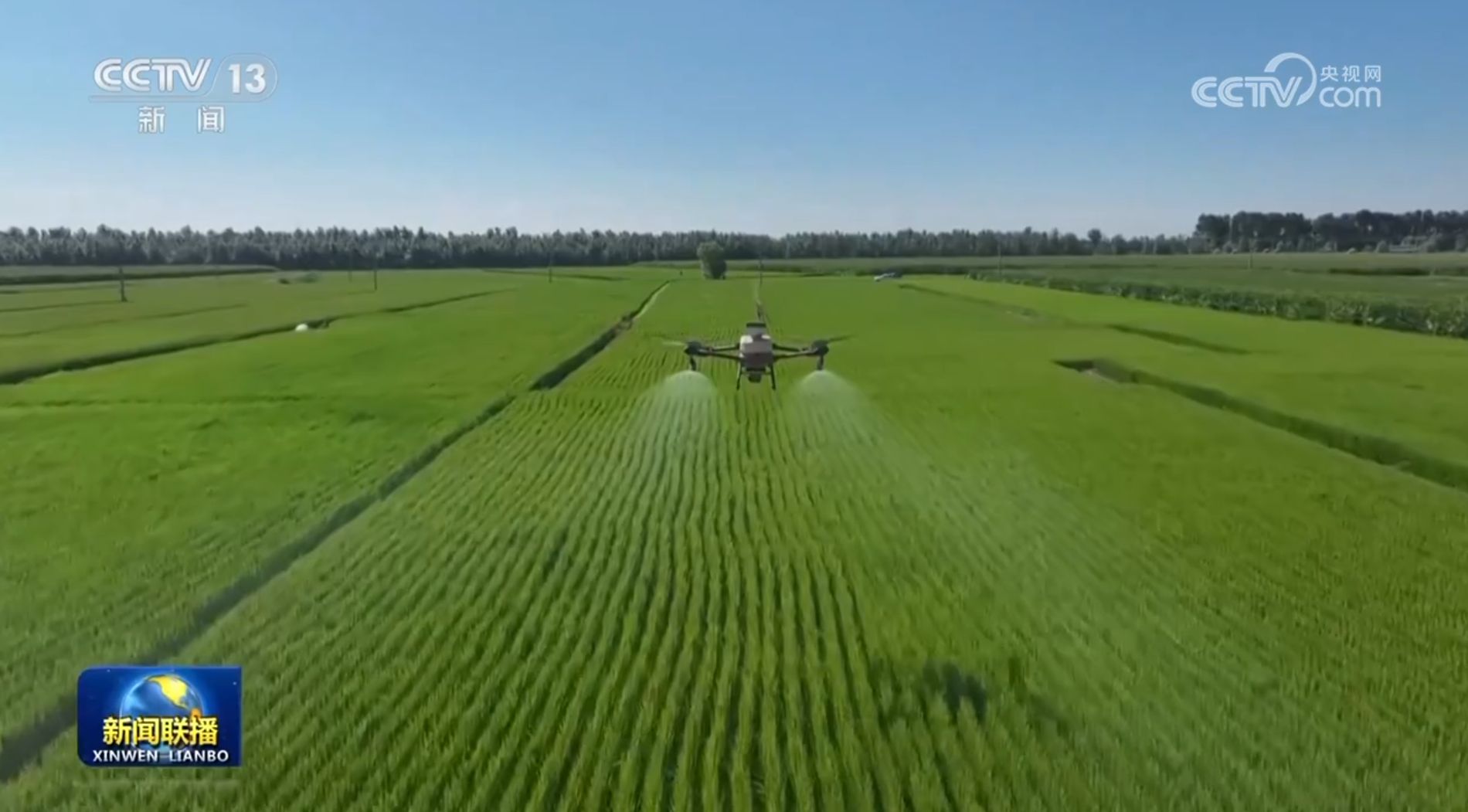 [新想法带领新旅行]保护黑土壤并为国家粮食安全
