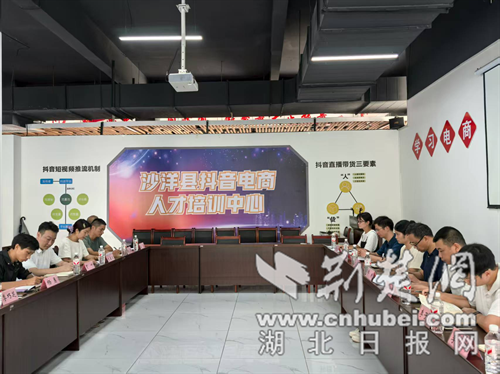 Shayang County Electronic Commerce Association分支机构和新