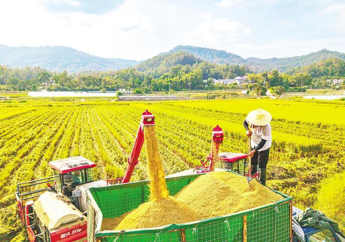 这个秋天的收率是如此美丽，这是一个“出生”