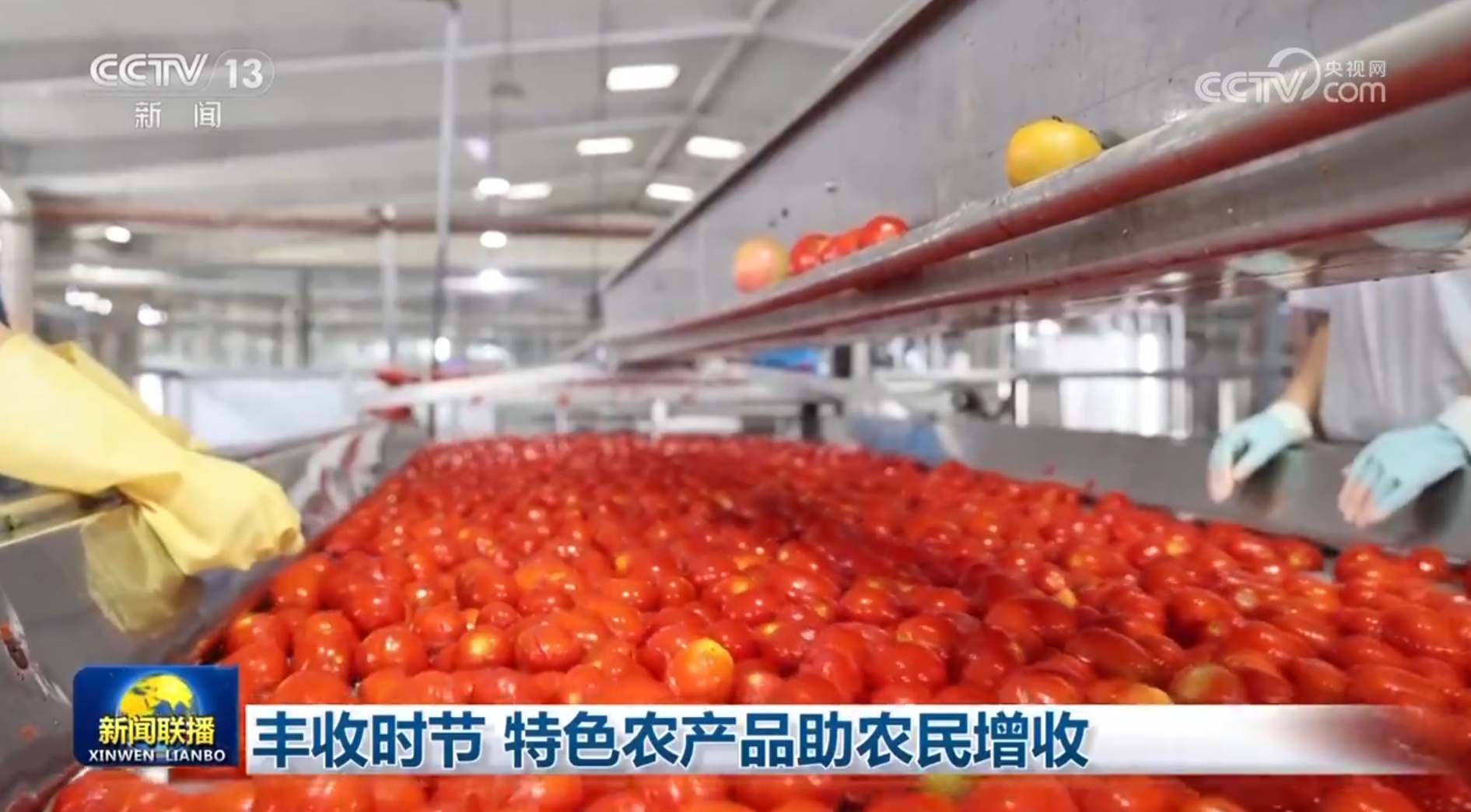 在收获期间，特种农产品可帮助农民增加收入