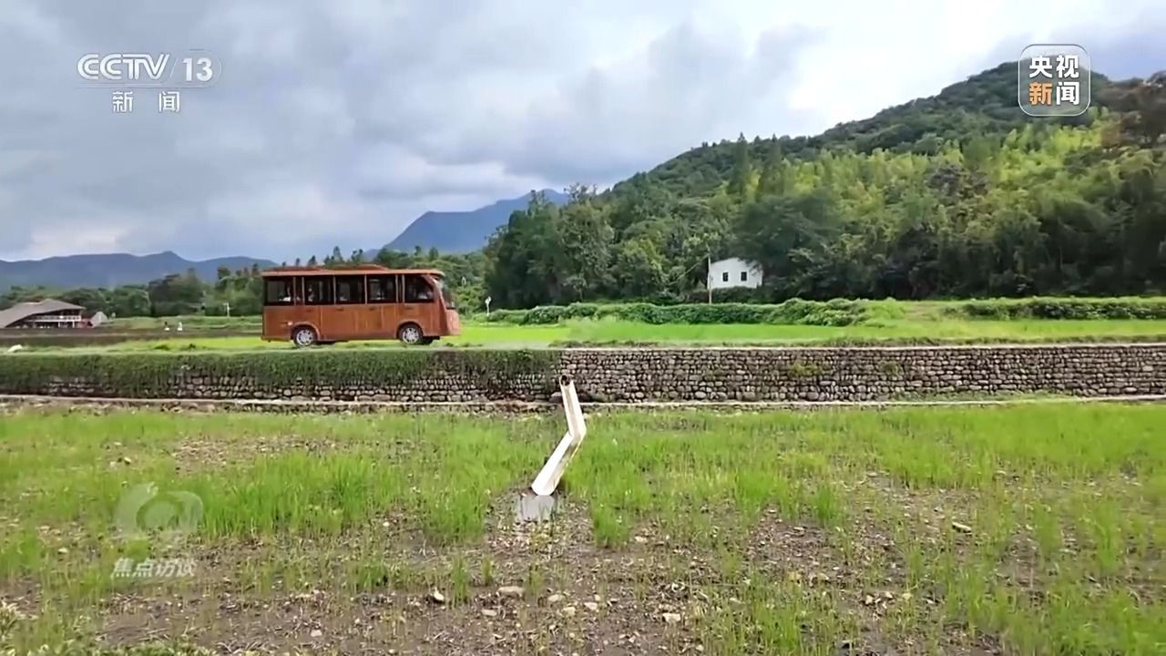 焦点访谈：矿山变成了绿山，看到Yukun生态蝴蝶的