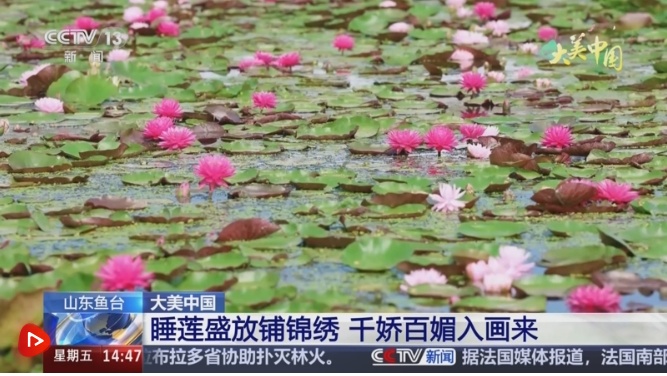 “用鲜花借用企业，用风景促进旅游业，并用绿