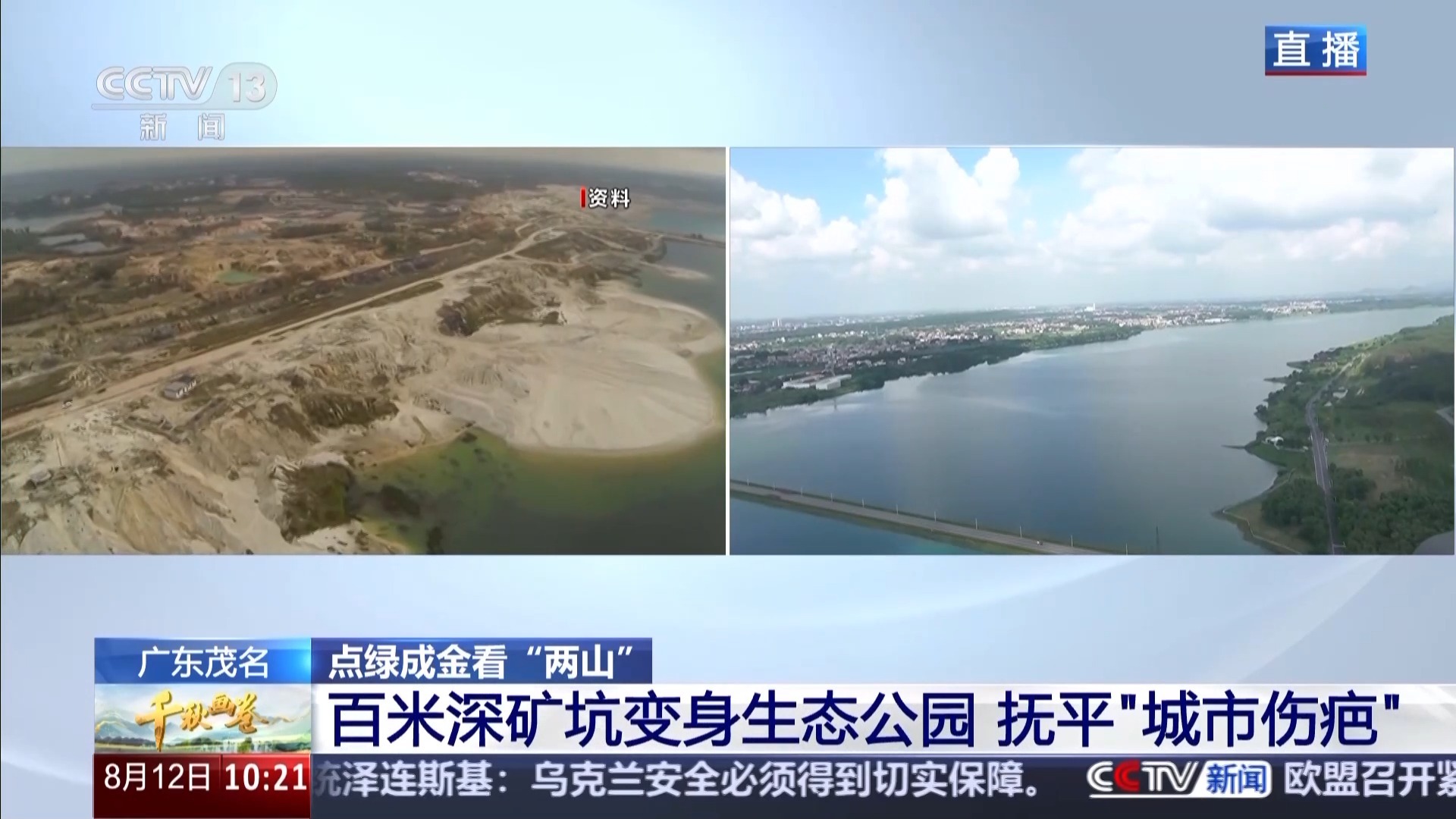 在岩石和种植树木的裂缝上，“按油”在岩石的