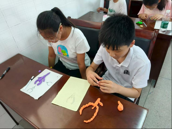 图片2.png.png