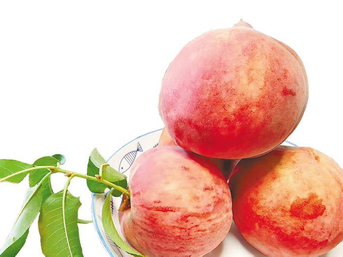 高质量的桃子是智能种植的，每一个都是最大的